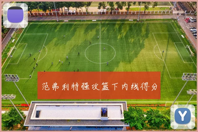 范弗利特强攻篮下内线得分