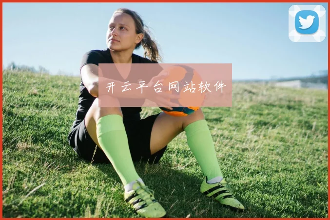 开云平台网站软件