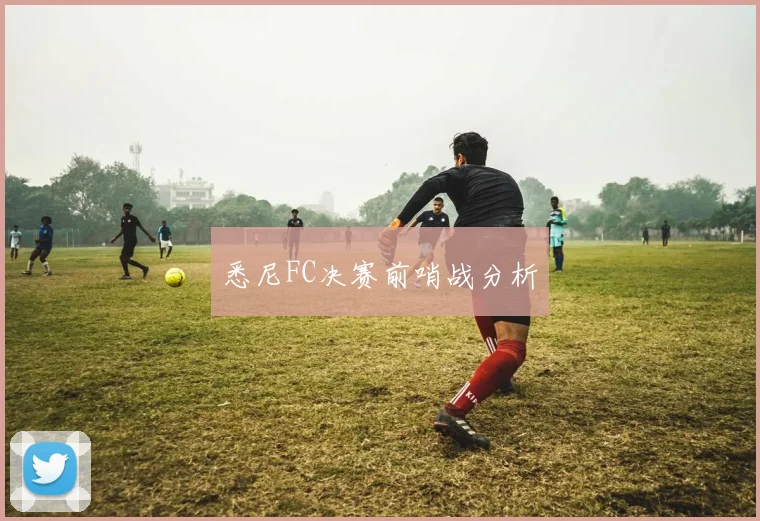 悉尼FC决赛前哨战分析
