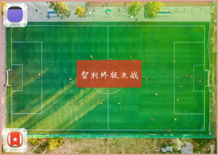 智利终极决战