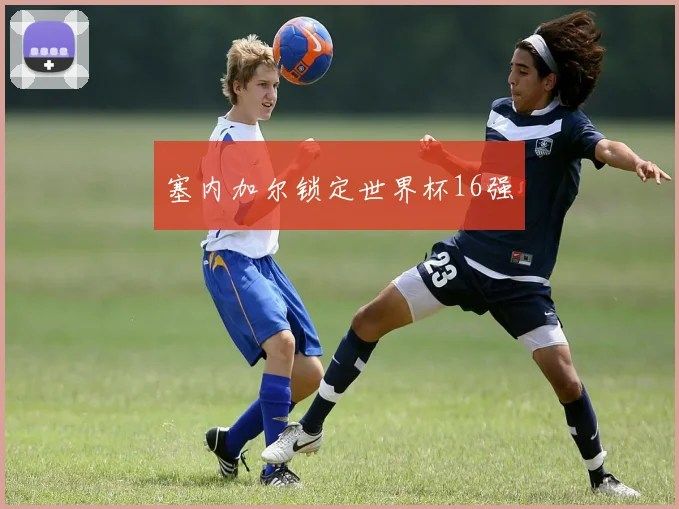 塞内加尔锁定世界杯16强